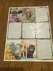 Vintage 1979 Hallmark Ambassador Cats Kittens & Flower Garden Stickers 2 Partial