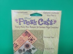 Rebecca Sower Mini FRESH CUTS Cut-Out Embellishments EK 4 Packs Of 5 Sheets Lot