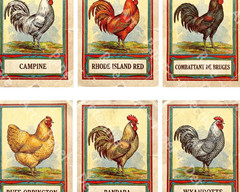 Rooster Illustrations, Antique Fancy Chicken Drawing Stickers, CUT & PEEL SHEET
