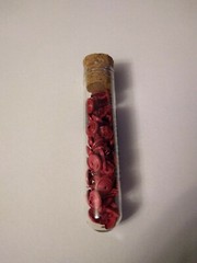 Crafts KF Crazy Coil Brads Poppy Red 1/4″ Glass Tube Cork Stopper 44 Each