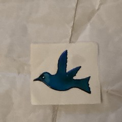 Touch Me Oilies Vintage Sticker Dove Bird Changing Colors Oily Rare 80s