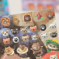 Cat Sticker Book with Meme Stickers 30 Pages Over 800 Die Cut Stickers with 3…