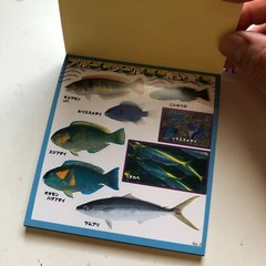 FISH Japanese Stickers book 274 stickers Shogakkan NEO Book Series