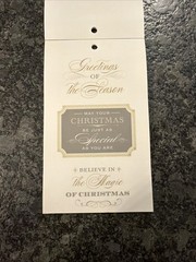 Anna Griffin Winter Wonderland Vellum Quote Stickers Used