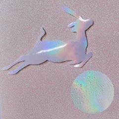 32 Sheets Holographic Sticker Paper Clear Vinyl Self Adhesive Waterproof Rainbow
