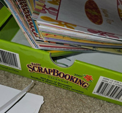 Large Lot of Scrapbooking Supplies (paper supplies; multiple themes)