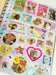 Cat Sticker Book, 30 Pages Over 800 Cute Die Cut Stickers with 3 Style 1