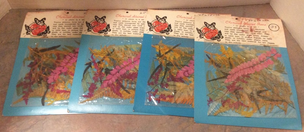 4 Packages Vintage CHEMICAL STAINED FERNS Scrapbooking / NIP