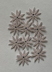 PURPLE LIGHT ECHINACEA FLOWER Embellishments(10pc) Jolee’s•Garden•Plant•Wedding•
