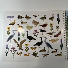 Creative Spark by Cupkin Bird Sticker Activity Book for Kids – 500+ Stickers NEW