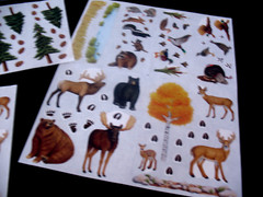 Creative Memories Forest Wildlife & 3 block& Studio Partial Snap Pack + 4 Autumn