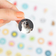 Dog and Cat Stickers for Kids Teachers,1000 Pcs Dog Cat Design Stickers for Kids