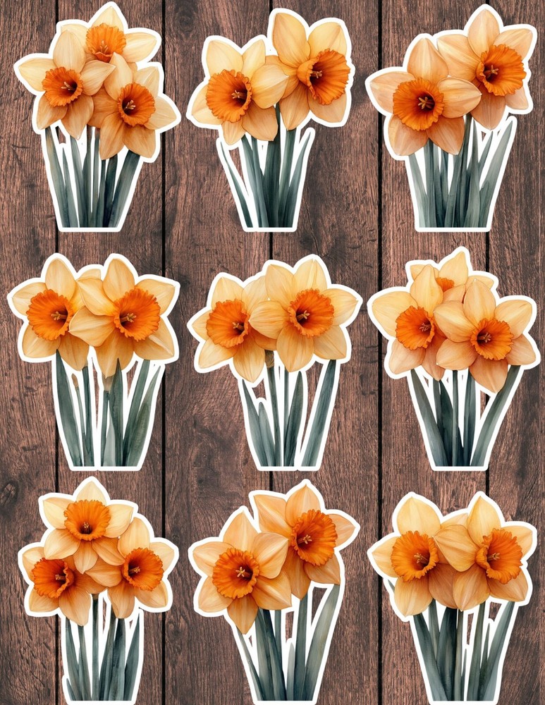 Daffodil Flowers Vinyl Die Cut Stickers Set Scrapbooking Laptop Waterbottle
