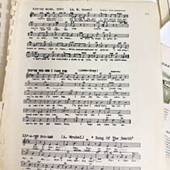 Vintage Ephemera Lot 50 Pages from Different Books Hymn/Recipe/Dictionary/Novels