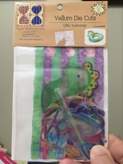 Paper Reflections Vellum Die Cuts LITTLE SWIMMER ~ Pool Ball Summer vacation