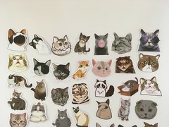 50 Pcs Cat Stickers Kitty Animal Cute Sticker Kids Boys Girls
