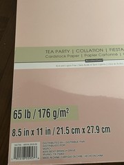 2 Packs of Michaels Recollections Card Stock 50 Pc Per Pack PINK 65 lb Cardstock