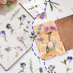 120 Pcs Transparent Flower Stickers for Scrapbooking PET Nature Plant Floral