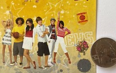 HIGH SCHOOL MUSICAL #2 Stickers (16pc)Disney•4″x 6.5″East High •Wildcats•Singing