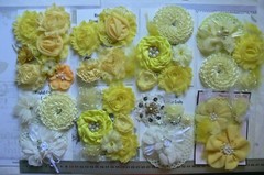 Flower Packs – Mixed YELLOW Colour hews 35 to 75mm in Sizes – 9 Pack Choice VD4