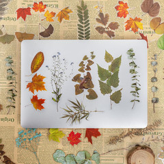 80 PCS Large Vintage Fall Leaf Stickers, Flower and Leaves Stickers Set, Autumn