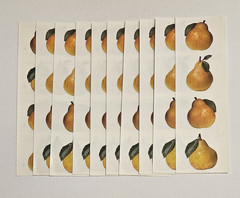 Mrs. Grossman’s Stickers Lot of 10 Strips ~Pears Photoessence~ Vintage 1999