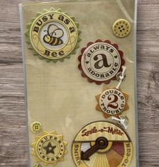 K & Company Wild Saffron Adhesive Chipboard Buttons Scrapbook Stickers
