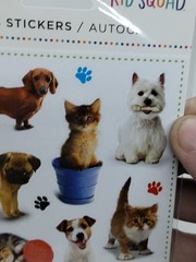 American Greetings Cute Cats & Dogs Stickers 3 Sheets