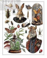 Ephemera Enclave Rub-on Transfer 3 Sheets 8.5”x11” – Redesign With Prima