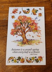 PSX Designs Sticker Sheet ~ Leaves of Autumn/Fall….HTF (2002)