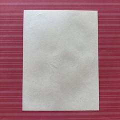 Vintage 80s CTP 1983 Scratch & Sniff Matte Rose Barbie Sticker Sheet Roses Scent