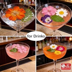 48 Pcs Natural Dried Pressed Flowers for Resin Jewelry, Crafts & Decor, Multicol