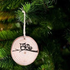 Unfinished Natural Wood Slices 20 Pcs 3.5-4 Inch Wood Coaster Sets Pieces Cra…
