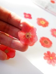 Q-Lia Japanese Gold Foil Flowers Stickers/Pack of 40/ Red