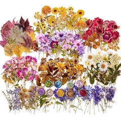 380 Pcs Sticker Set Dried Flowers Themed Resin Journaling Pressed Flower