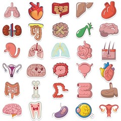 65Pcs Cartoon Colorful Heart Brain Organ Doodle Stickers – Luggage/Fridge/Notebo