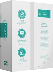 Vellum Bristol Cardstock – Lightweight, 325 Sheets, 67 lb – Fast Drying – Sheets