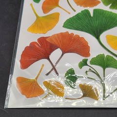 Crafters Square Magic On Faux Pressed Flowers Pieces Crafts Scrapbooking New