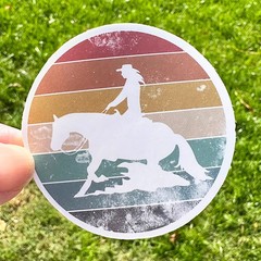 Cute COWBOY stickers, ranch, horse, hat, 50pcs, Decal, cowboys, western