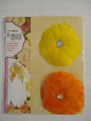 NEW Webster’s Pages Flowers & Pins feather flowers pins FP102