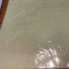 Anna Griffin 2011 Stitched Cardstock Sheets 10 Sheets