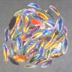 Colorful Feather Stickers – Set of 10 – Multicolor Vibrant Decorative Feathers