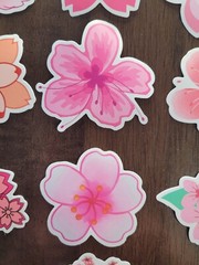 STICKERS x 10 Flowers Pink Cherry Blossom Orchid Tree Sticker CHE3