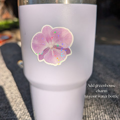 Orchid Flower Sticker Bundle, Large Stationary Set of 7, Sticker Sheets, Holo