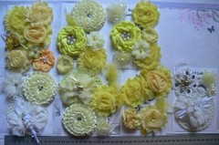Flower Packs – Mixed YELLOW Colour hews 35 to 75mm in Sizes – 9 Pack Choice VD4