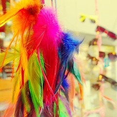 100Pcs Black Natural Goose Feathers, 3-5Inch Centerpieces Feahers Bulk Colorf…