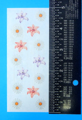 White Daisies Pink & Purple Flowers Creative Memories Sticker Sheet