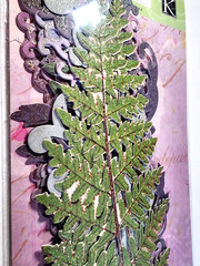 Rare 2011 K&Company Brenda Walton Flora Fauna Sticker Borders Scrapbooking 16pc
