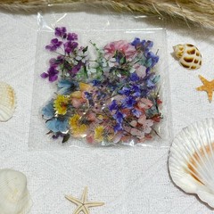 50PCS Transparent Flower Stickers, Cute Vintage Floral Sticker for