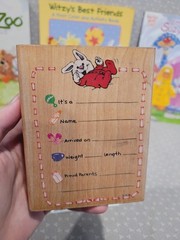 Little Suzy’s Zoo Coloring Activity Book Sticker Bear Foam Stamp Bookmark Lot